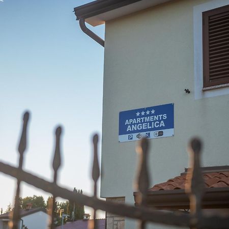 Apartments Angelica 1 Novigrad  Exterior photo